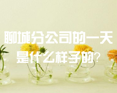 聊城分公司的一天是什么样子的？