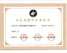 山东省瞪羚企业