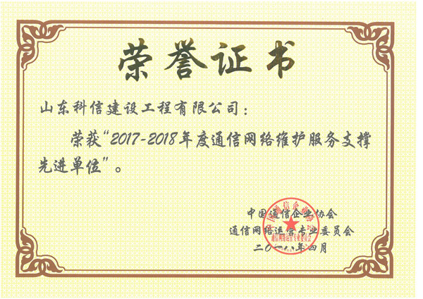 网络维护服务支撑先进单位